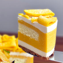 Load image into Gallery viewer, Mango Rare Cheesecake

